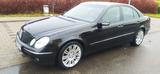 Mercedes-Benz E 420 CDI ELEGANCE Elegance - Mercedes-Benz E 420: Cdi