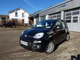 Fiat Panda 1.2 8V *Klima*Radio*Nebelsw*8xRäder* - gebrauchte Fiat Panda aus dem Jahr 2016