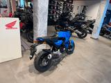 Honda MSX 125 Grom 2025 Blau *Tageszulassung 08-25* - KLEINKRAFTRAD