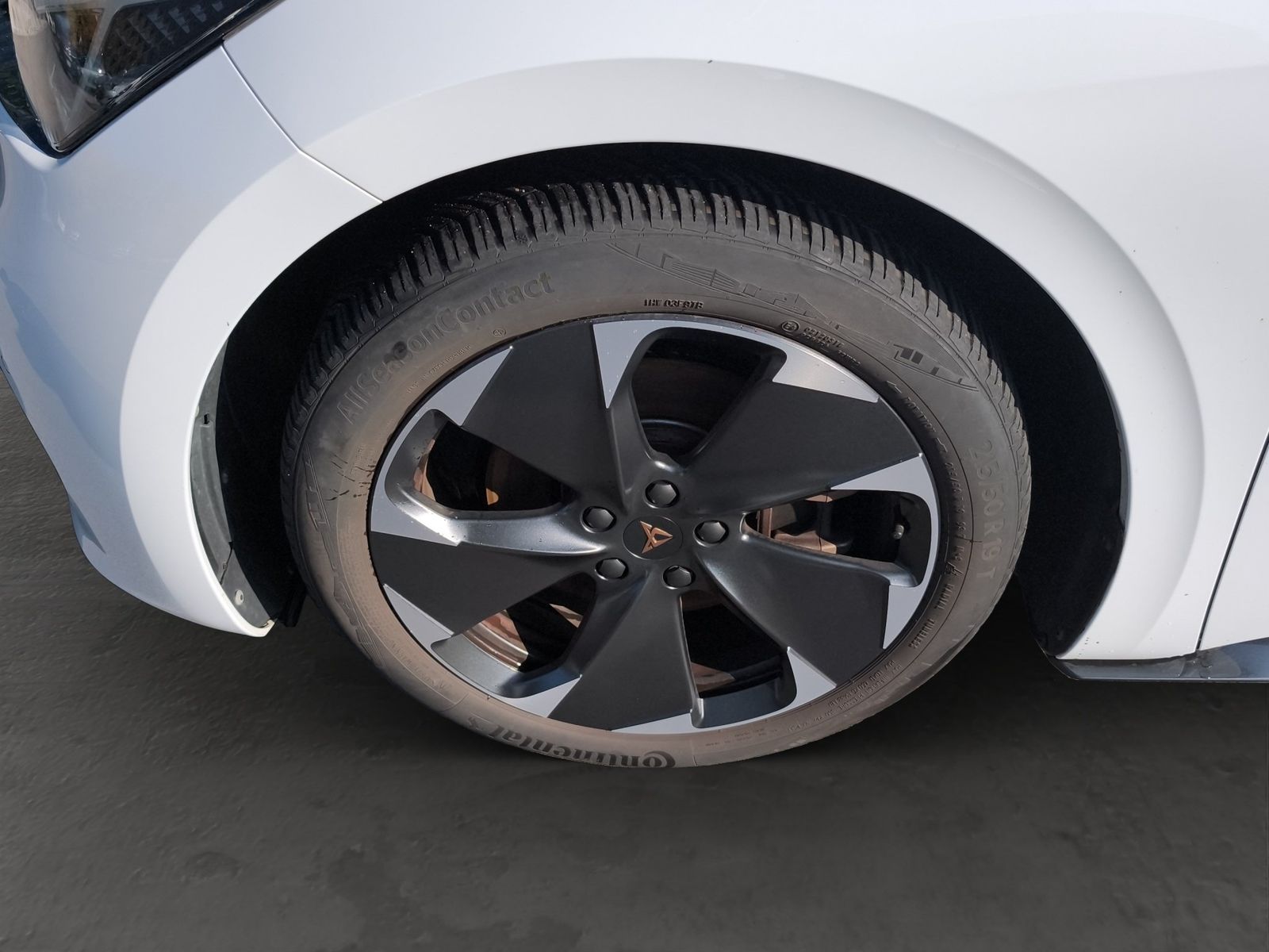 Cupra Born - Bild 10