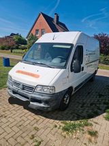 Fiat Ducato 244 2.3 JTD - Fiat Ducato aus 2003