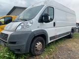 Fiat Ducato Kasten  2.3 Maxi lang - Fiat Ducato: Lang