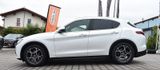 Alfa Romeo Stelvio Super Q4 Panoramadach - Alfa Romeo Stelvio Gebrauchtwagen