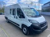 Fiat Ducato Maxi Grossr.-Kasten 35 140 L5H2 RS: 4035  - Fiat Ducato l5h2