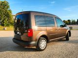 Volkswagen Caddy 1,2TSI BMT Trendline NAVI SHZ PDC 8-fach - Volkswagen Caddy aus 2016