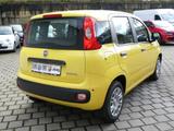 Fiat Pandina PANDA HYBRID POP 1.0 GSE 65PS PDC - Fiat New Panda Tageszulassungen