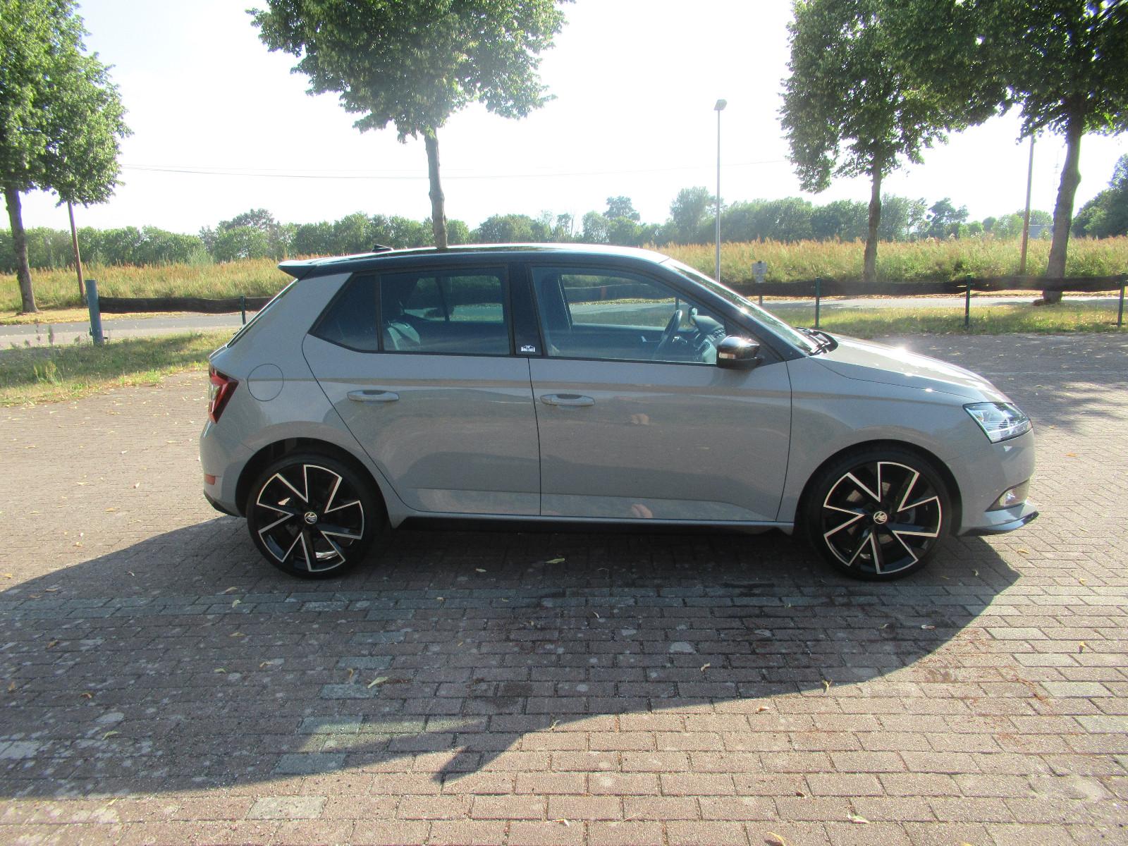 Skoda Fabia Monte Carlo Voll LED PDC Kamera DAB SHZ