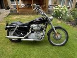 Harley-Davidson Sportster 883 Custom - Angebote