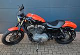 Harley-Davidson Sportster Nighster 1200 - HARLEY-DAVIDSON 2010 SPORTSTER 1200