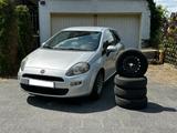 Fiat Punto 1.2 Benziner | Neue Reifen vorne | 16 - Fiat Punto: 16v