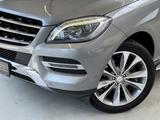 Mercedes-Benz ML 350 CDI BlueTec*LED*Kamera*GSD*Massage*20Zoll - Mercedes-Benz ML 350: Bluetec