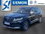 Skoda Kodiaq SCOUT 4x4 Navi Leder RFK 7-Sitzer 8fach b