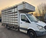 Mercedes-Benz Mercedes Benz Sprinter 515 cdi Airco - Mercedes-Benz Sprinter: 515