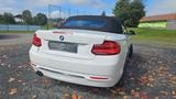 BMW 220i Steptronic Cabrio Sport Line Sport Line - weiße BMW 2er Reihe