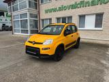Fiat PANDA 1,3 MultiJet 95 WILD 4x4 vin 196 - Fiat Panda: 1.3