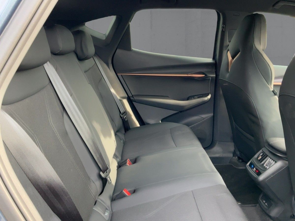 Cupra Tavascan - Bild 13