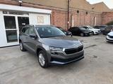 Skoda Karoq Selection - Skoda Karoq: Selection