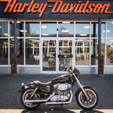 Harley-Davidson XL883L SUPERLOW SPORTSTER - A2 TAUGLICH - FALCON - HARLEY-DAVIDSON VON 751 BIS 1000 CCM