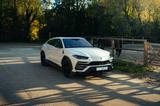 Lamborghini Urus 4.0 V8 Autom. - weiße Lamborghini Urus
