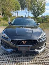 Cupra Leon 2.0 TSI 180kW DSG - - Cupra Leon von privat