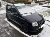 Fiat Panda 60PS 1.2L 60PS unfallfrei - Fiat Panda Gebrauchtwagen in Kassel
