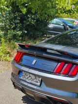 Ford Mustang Shelby GT350  - Ford Mustang: Gt350 Shelby