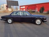 Jaguar XJ6, 4.2 SOVEREIGN, H-KENNZEICHEN! TÜV NEU! - Jaguar aus 1985