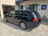 Volkswagen Golf Alltrack 2.0 TDI Allrad - Volkswagen Golf: Alltrack