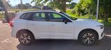 Volvo XC60 T6 AWD R-Design Exp. AHK PIH Panoramadach - Volvo XC60 in Freiburg
