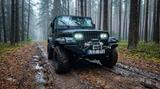 Jeep Wrangler Sport 4.0 RIO GRANDE YJ - gebrauchte Jeep Wrangler aus dem Jahr 1995