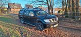 Nissan Navara D401 - Nissan Navara: D 40