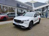 Mazda CX-5 2.5L e-SKYACTIV G 141ps 6AT FWD Homura TLOP - Mazda CX-5 in Oldenburg