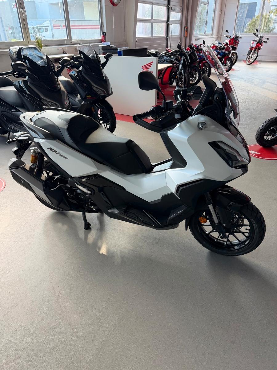 Honda ADV 350 2026 *sofort verfügbar* Tageszulassung