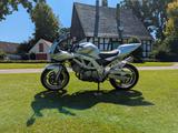 Suzuki SV650S Superbike Umbau - SUZUKI 2003 SV 650