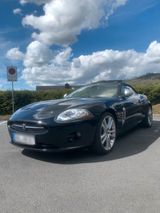 Jaguar XK 4.2 Cabrio schwarz;Ez:05/06;2.Hd... - Jaguar XK8 von privat
