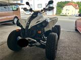 Can-Am Renegade - RENEGADE