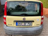 Fiat Panda - Fiat Panda: Gelb