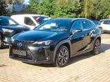 Lexus UX 300h F Sport Design Klimaaut., ACC,SpurH, LM - Lexus UX Jahreswagen
