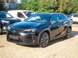 Lexus UX 300h F Sport Design Klimaaut., ACC,SpurH, LM - Lexus UX: F Sport