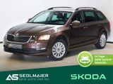 Skoda Octavia Combi 1.4 TSI Ambition APPs|SHZ|NAV|PDCh - Skoda in Landshut