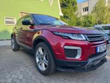 Land Rover Range Rover Evoque Pure*4x4*Aut.*PANO.*Tüv neu* - Land Rover: Evoque Pure