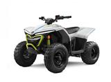 CFMOTO CForce 110 EV Elektro Kinder Quad + WINTERAKTION - CFMOTO CFORCE 110