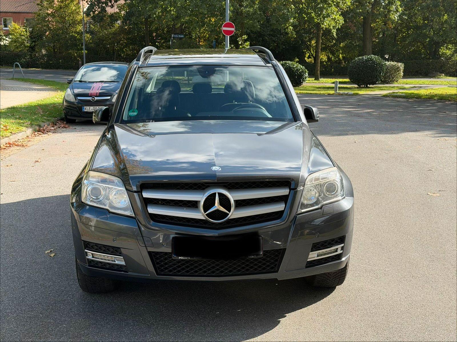 Mercedes-Benz GLK250 2010 — rear view