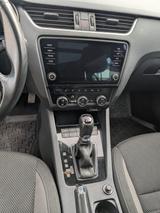 Skoda Octavia 2.0 TDI DSG 4x4 Scout Combi Scout - Skoda: Combi Scout