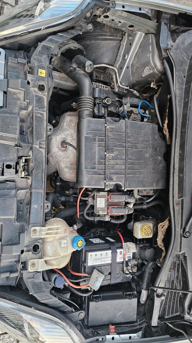 Fiat Punto 1.4 | Navi | ZR | Kupplung | Tiefergelegt