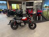 Honda Monkey 125 *Service und TÜV neu - HONDA KLEINKRAFTRAD