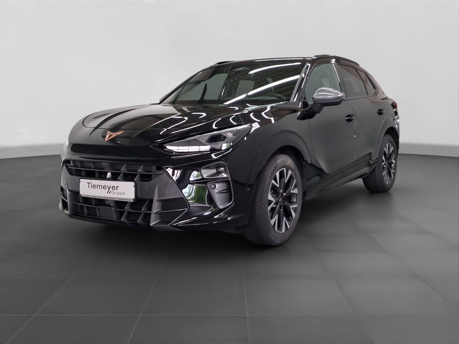 Cupra Terramar - Bild 2