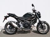 Suzuki SV650 - Angebote entsprechen deinen Suchkriterien