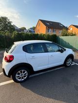 Citroën C3 PureTech 83 Stop&Start LIVE LIVE - Citroen C3 Stop-&-Start mit Benzin-Antrieb