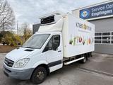Mercedes-Benz  Sprinter 513 CDI Tiefkühl Carrier LBW TÜV03/26 - Ladebordwand Sprinter